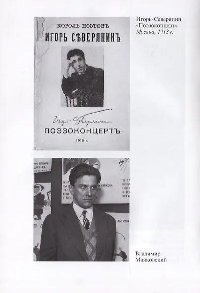 Северянин. - фото 4