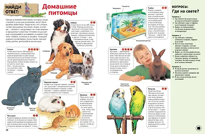 Интерактивная энциклопедия для школьников - фото 11