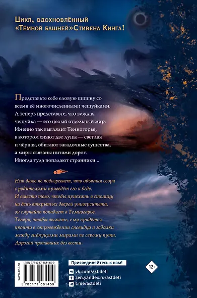 Темногорье. Пропавшая дверь - фото 2