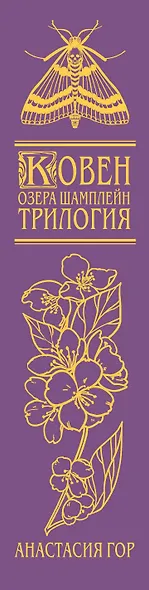 Ковен озера Шамплейн. Трилогия - фото 14