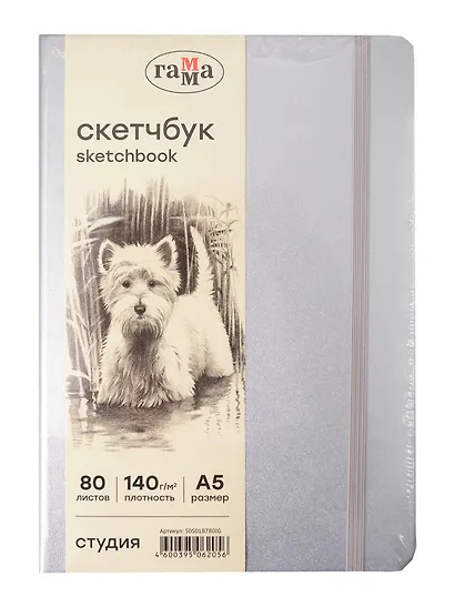 Скетчбук А5 80л "Гамма. Студия" серебро, 140г/м2, слоновая кость, тв.обложка, резинка - фото 1