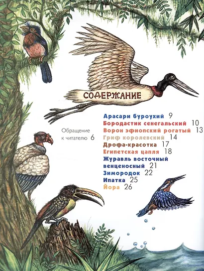 Азбука диковинных птиц. Для взрослых и детей - фото 7