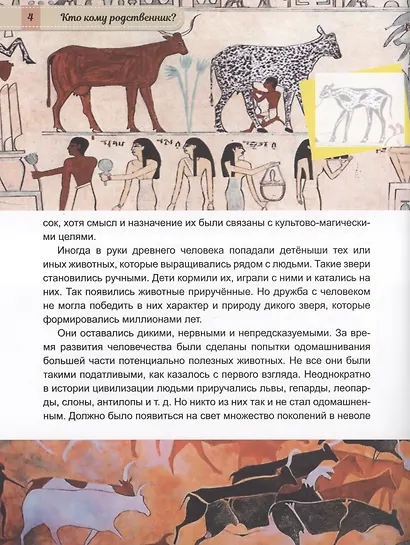 Животные от диких к домашним - фото 4