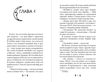 Хранитель дома загадок - фото 4