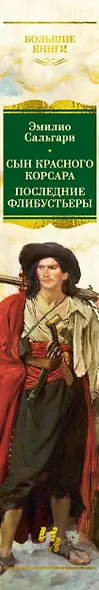 Сын Красного Корсара. Последние флибустьеры - фото 14