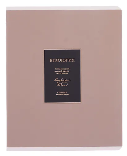 Тетради 48 листов 12 штук "Believe" - фото 5