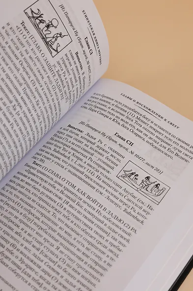 Египетская книга мертвых. Индийская книга мертвых. Тибетская книга мертвых. - фото 13