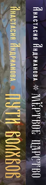 Мир Княжеств Анастасии Андриановой (комплект из двух книг:Пути Волхвов (Мир Княжеств #1)+Мертвое Царство (Мир Княжеств #2)) - фото 7