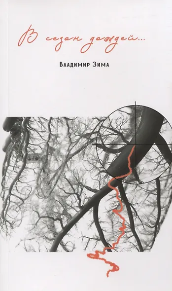 В сезон дождей…. - фото 1