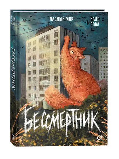 Бессмертник - фото 2