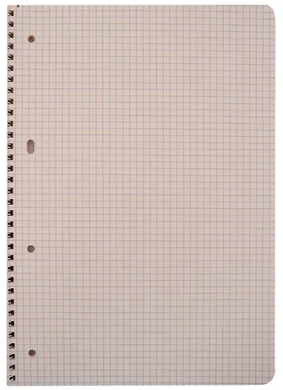 Тетрадь в клетку Hatber, Headline, А4, 96 листов, в ассортименте - фото 2