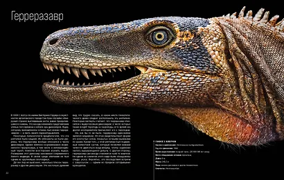 Динозавры. Профили затерянного мира. Энциклопедия - фото 5