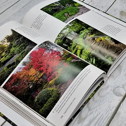 Сад в японском стиле. От идеи до воплощения - фото 12