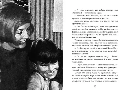 Племя Зипполи - фото 5