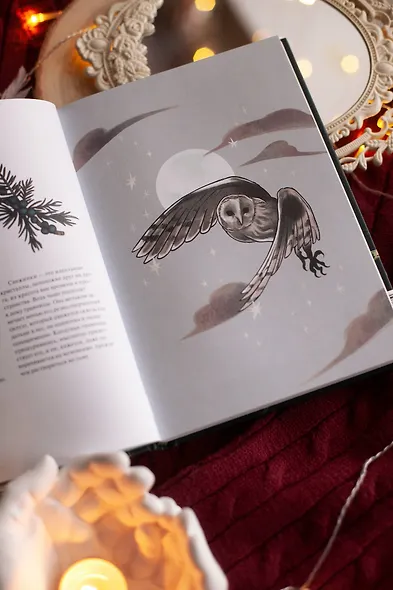 4 сезона волшебства. Тайные послания и рецепты, нашептанные лесом - фото 11