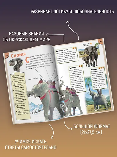 Детская энциклопедия. Найди ответ - фото 4