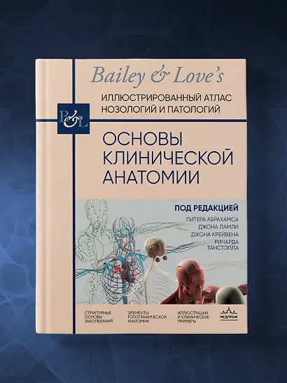 Основы клинической анатомии. Иллюстрированный атлас нозологий и патологий - фото 7