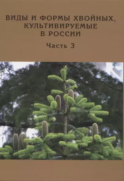 Виды и формы хвойных, культивируемые в России. Часть 3. - фото 1