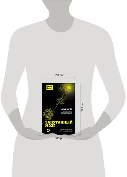 Запутанный мозг. Путеводитель по нейропсихологии - фото 4