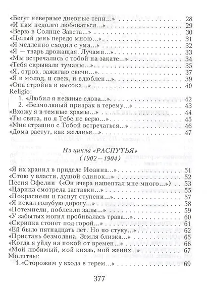 Незнакомка - фото 3