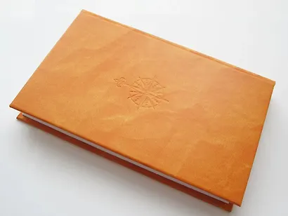 Верная Рука. Том 2 - фото 10