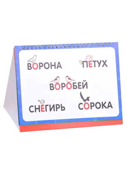 Словарные слова. Визуальный словарь. Более 200 слов - фото 4