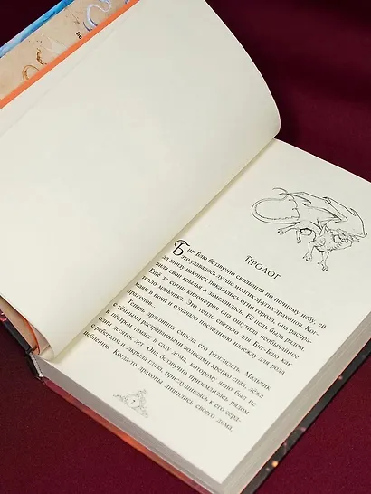 Смарагур. Книга 1. Остров драконов - фото 10