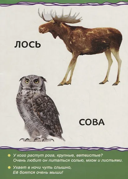 Животные леса для малышей - фото 4