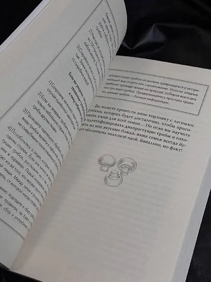 ЗаГРИБные истории. Тайны подземного царства - фото 9