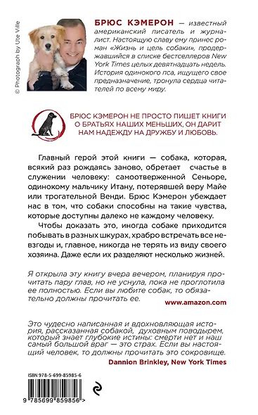 Жизнь и цель собаки - фото 2