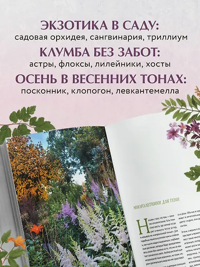 Цветущий сад из многолетников. Как создать цветники, которые будут радовать год за годом - фото 8