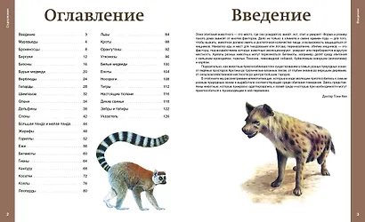 Самые необычные звери мира - фото 4