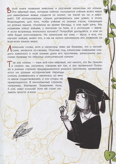 В джунглях не только тигры. Бабочки-стрекозки - фото 5