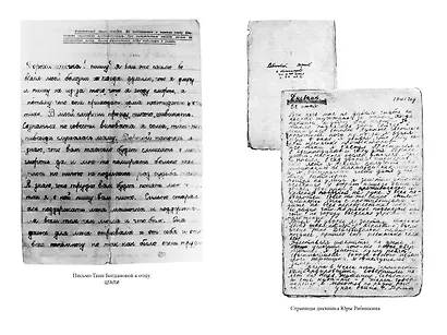 Блокадная книга - фото 9