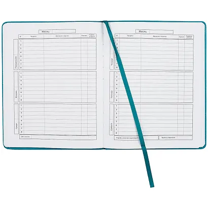 Дневник школьный Феникс+, "Котик" - фото 2