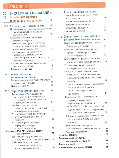 Основы биохимии Ленинджера т.2 - фото 2