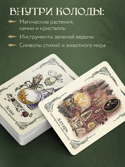 Зеленая ведьма. Колода-оракул. Откройте для себя силу и мудрость природной магии (50 карт и руководство) - фото 6