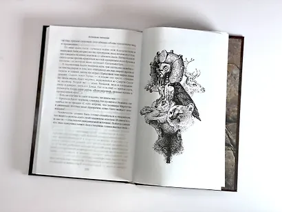 Разбитая наковальня - фото 7