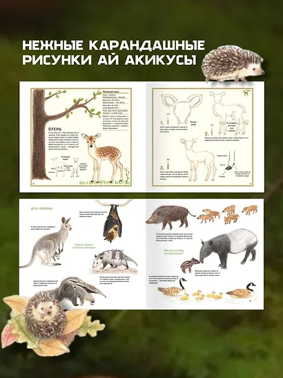 Рисуем милых животных - фото 5