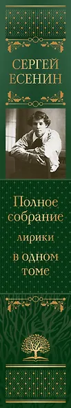Полное собрание лирики в одном томе - фото 9
