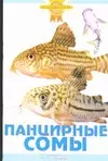 Панцирные сомы - фото 1