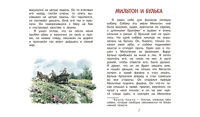 Акула - фото 4