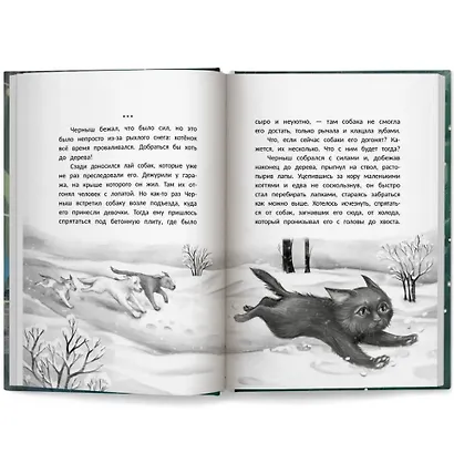 Счастье за дверью - фото 8