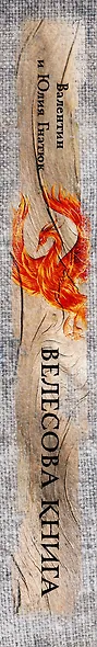 Велесова книга: со словарем и комментариями - фото 4