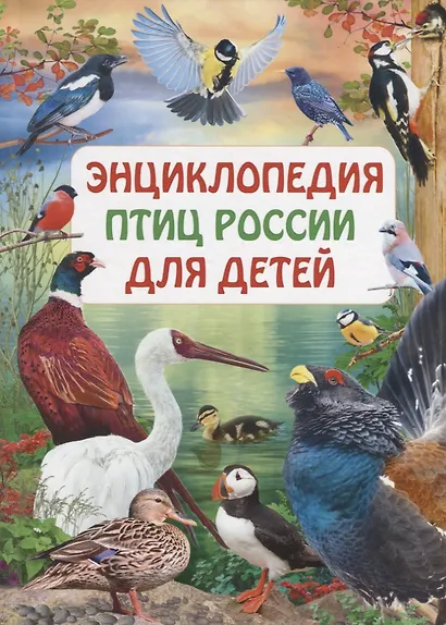 Энциклопедия птиц России для детей - фото 1