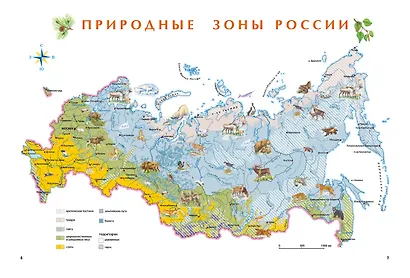 Природа России. Иллюстрированная энциклопедия - фото 9
