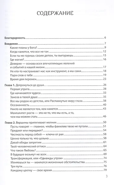 Побеждает любовь. Книга о том, как пробудить внутреннюю силу для вдохновенной жизни в гармонии - фото 3