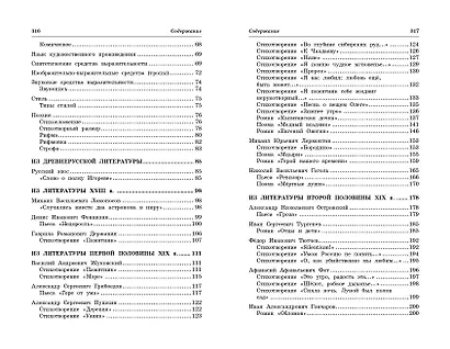 Литература: наглядно и доступно - фото 11