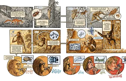 Инсектополис: история насекомых от Большого взрыва до наших дней - фото 14