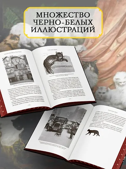 Кошки правят миром - фото 6